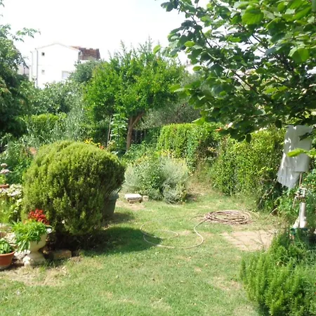 Delic * Водице