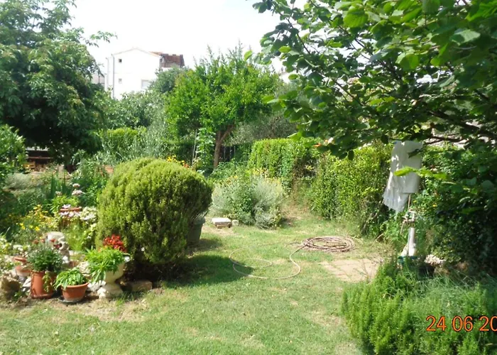 Delic * Водице